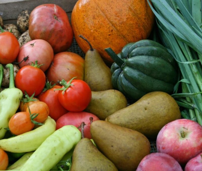 Fresh farm produce